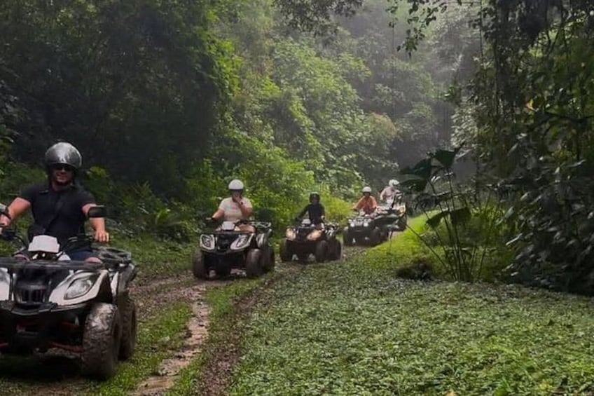 People riding ATVs on a narrow forest trail. 3