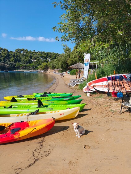 Picture 24 for Activity Sea Kayak-snorkel Experience – Caves Hidden Beaches Skiathos 2