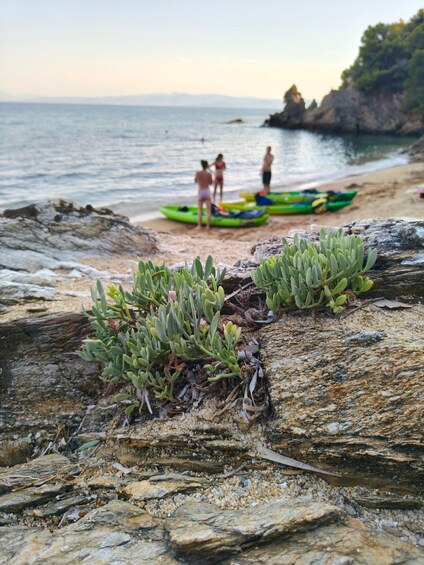 Picture 22 for Activity Sea Kayak-snorkel Experience – Caves Hidden Beaches Skiathos 3