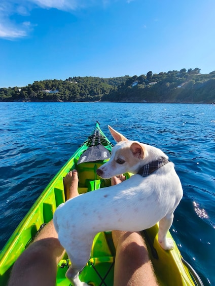 Picture 19 for Activity Sea Kayak-snorkel Experience – Caves Hidden Beaches Skiathos 3