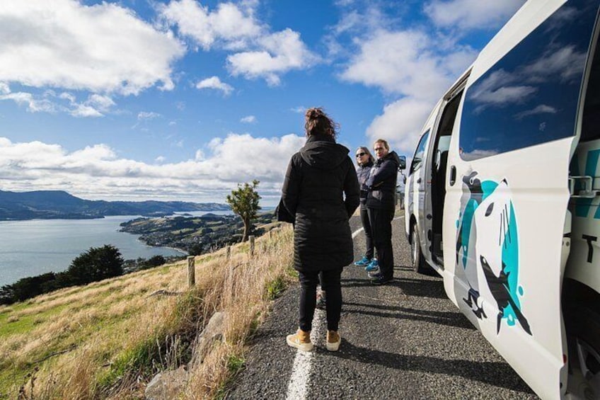 1st stop overlooking the Otago Harbour 5