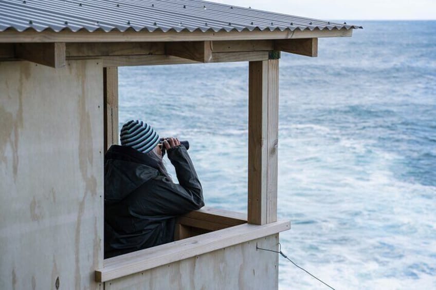 A person taking a photograph from a wooden structure overlooking the ocean. 3