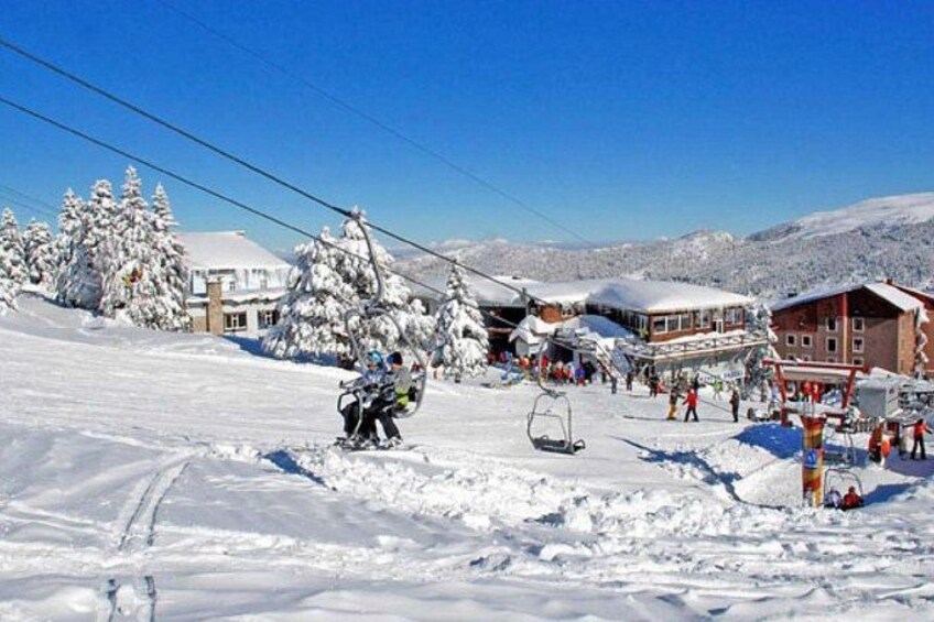Un centro de esquí nevado con telesilla, edificios y árboles cubiertos de nieve. 1