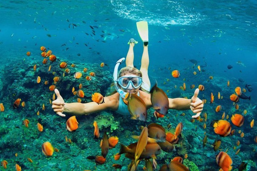 A person snorkeling underwater surrounded by fish. 3