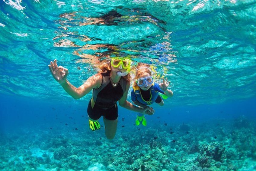 Two people snorkeling underwater with coral reefs in the background. 2