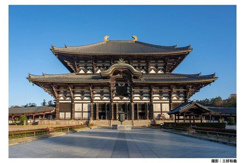 Kyoto & Nara Tour from Osaka: Kinkaku-ji, Todai-ji & Nara Park 5