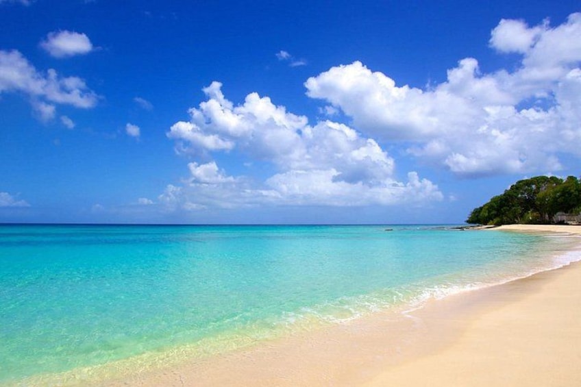 Barbados -Luxury Cruise with Lunch and Open Bar By Oceanluxx 4