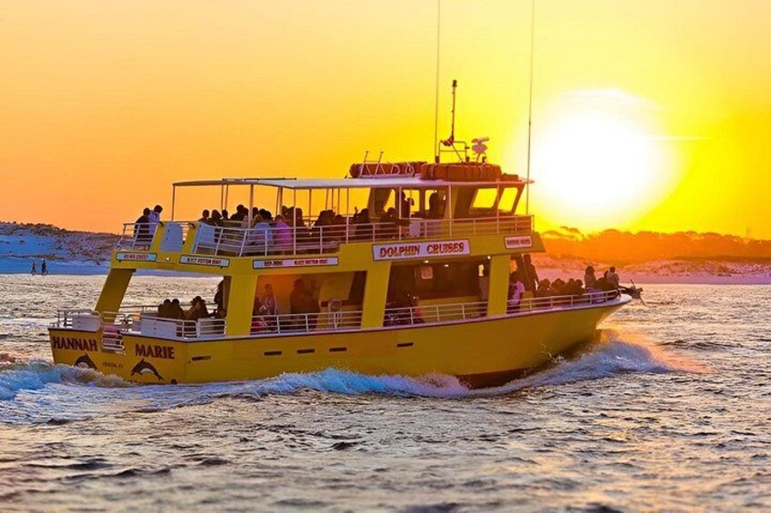 Dolphin & Sunset Cruises 1