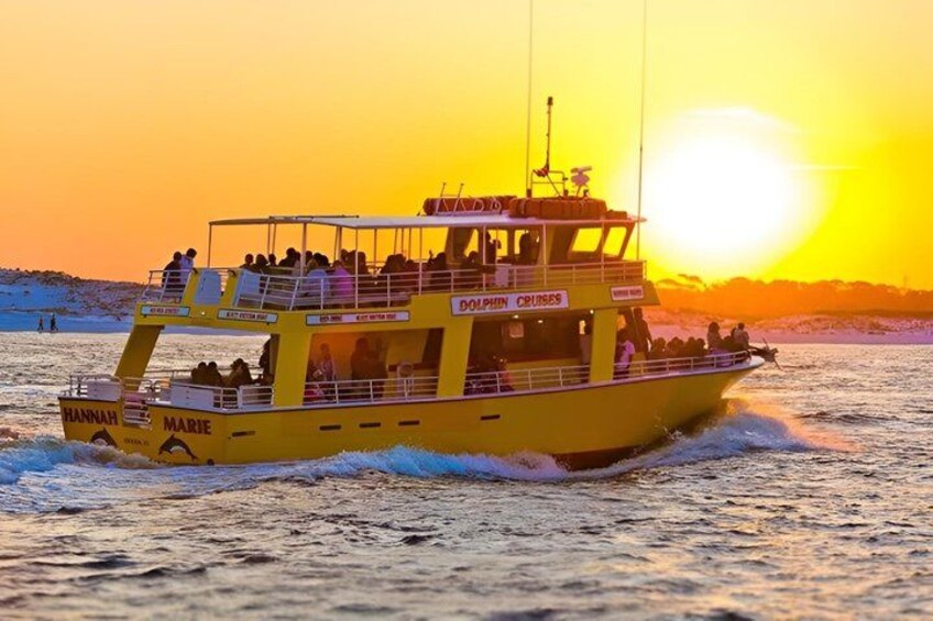 Dolphin & Sunset Cruises 1