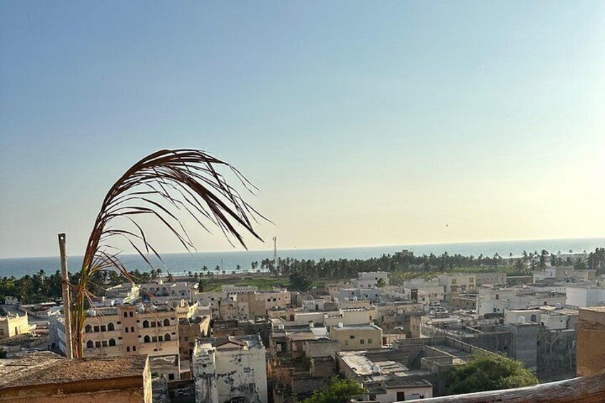 Un paysage urbain côtier avec des bâtiments, des palmiers et un ciel dégagé. 4
