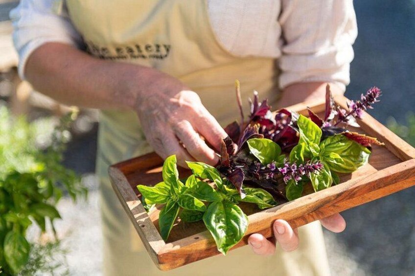 A person holding a wooden tray with various leafy greens and herbs. 3