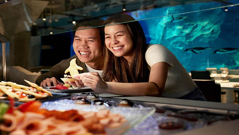Penguin Cove Buffet Lunch 1