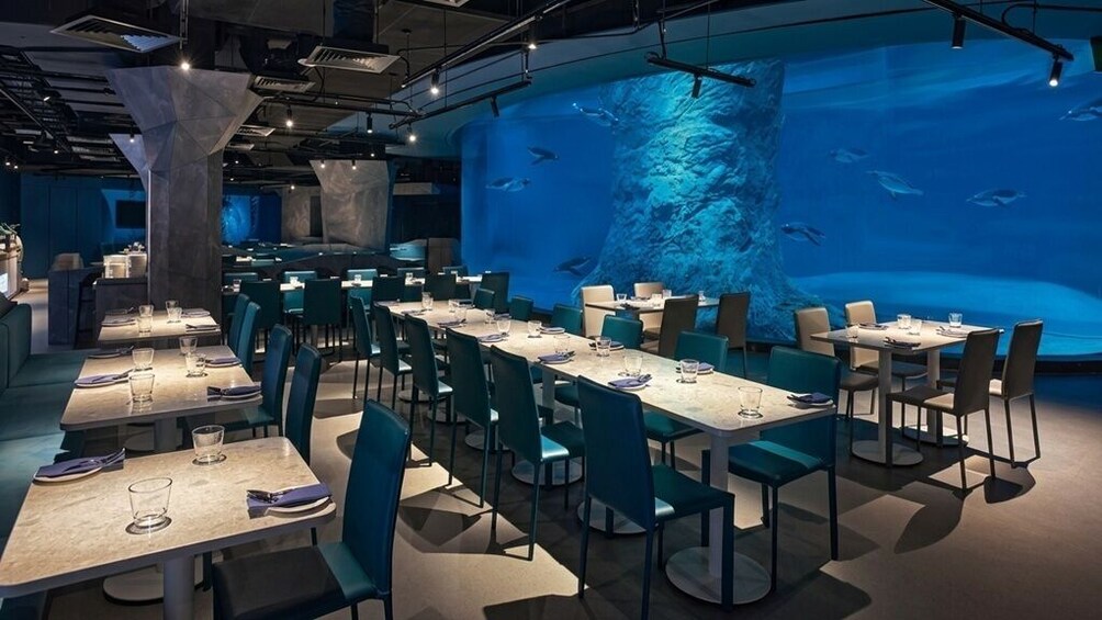 Penguin Cove Buffet Lunch 4
