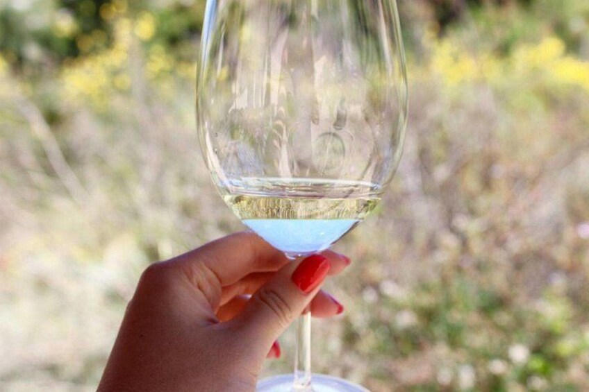 A hand holding a wine glass with a clear liquid, possibly white wine, against a blurred natural background. 2
