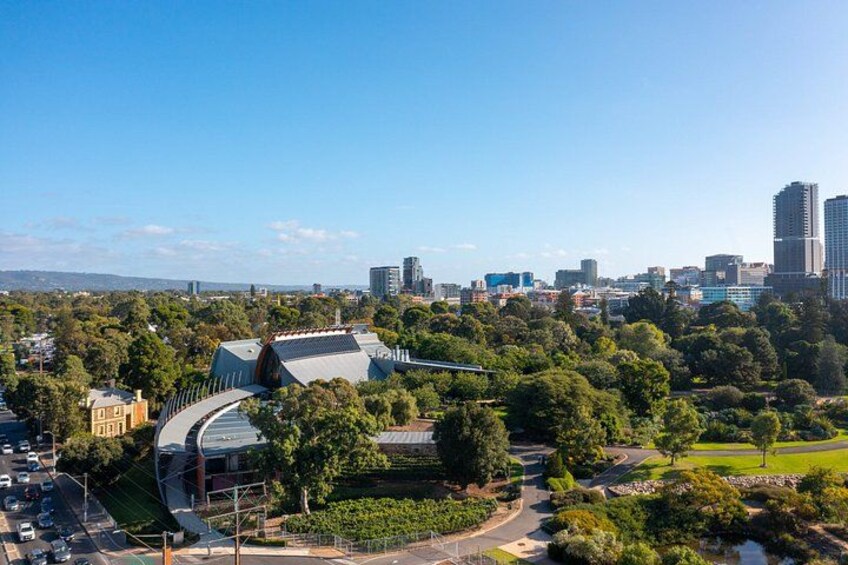 Adelaide Highlights and Street Art Tour 3
