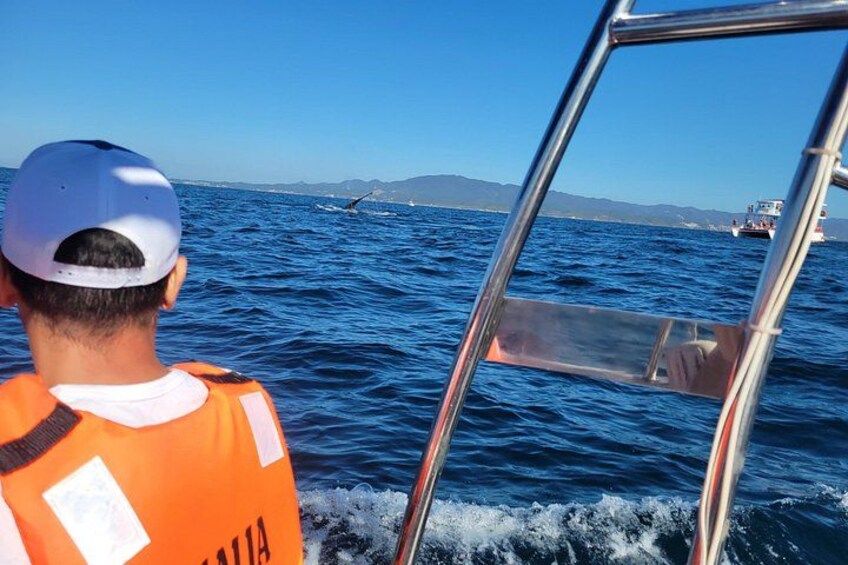 Una persona con chaleco naranja y gorra blanca en un barco, mirando al océano. 2