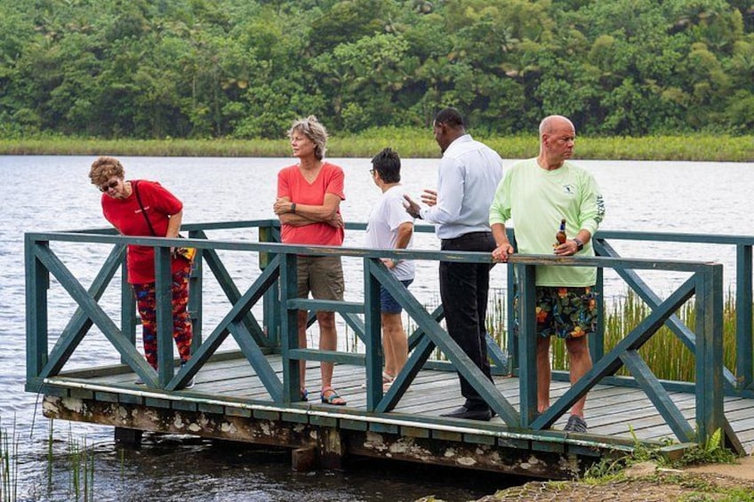 Tour Grenada: Annandale, Grand Etang and Grand Anse beach 4