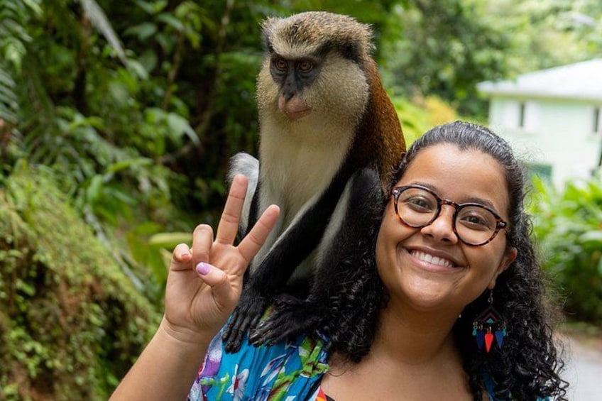 Tour Grenada: Annandale, Grand Etang and Grand Anse beach 5
