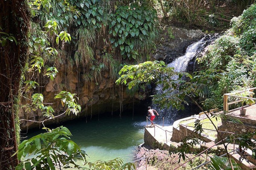 Tour Grenada: Annandale, Grand Etang and Grand Anse beach 3