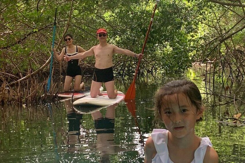 Mangrove Paddle Ride Sainte Anne Guadeloupe 5