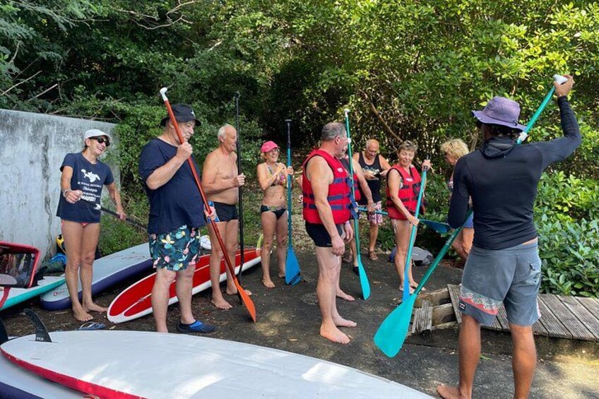 Mangrove Paddle Ride Sainte Anne Guadeloupe 2