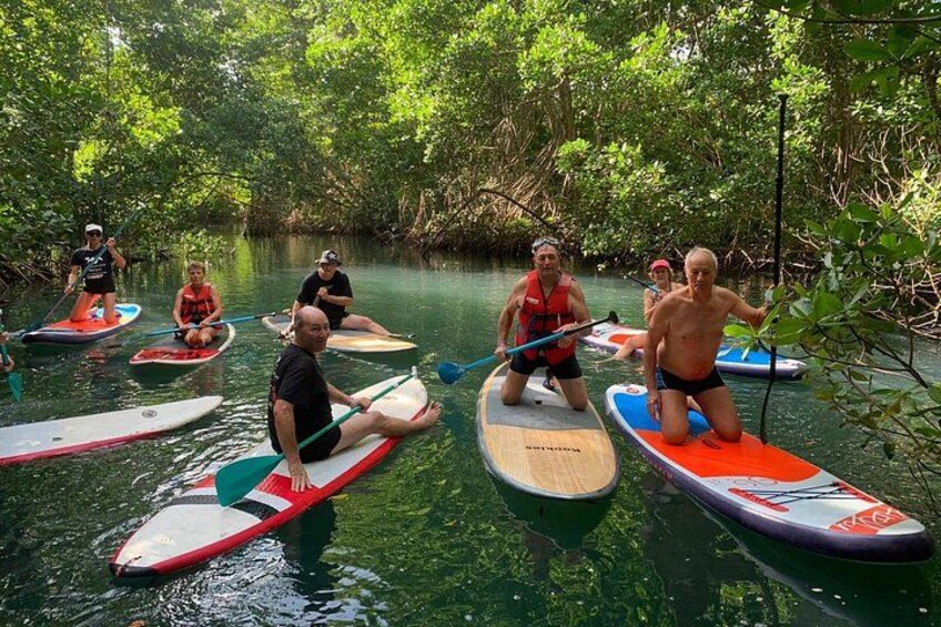 Mangrove Paddle Ride Sainte Anne Guadeloupe 4