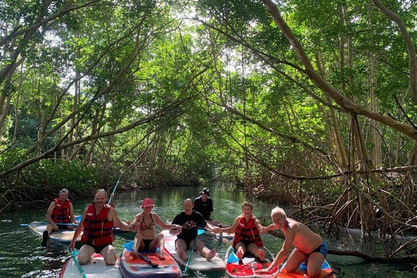 Mangrove Paddle Ride Sainte Anne Guadeloupe 3