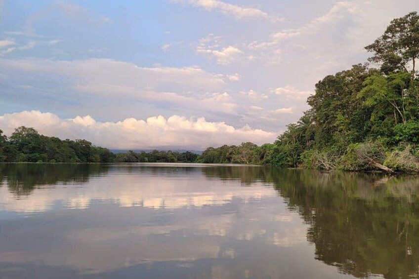 Un lac paisible où se reflètent les arbres et le ciel, entouré d’une végétation luxuriante. 2