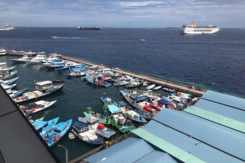 Een jachthaven met diverse boten afgemeerd, een steiger die in het water uitloopt, en een groot cruiseschip op de achtergrond. 2