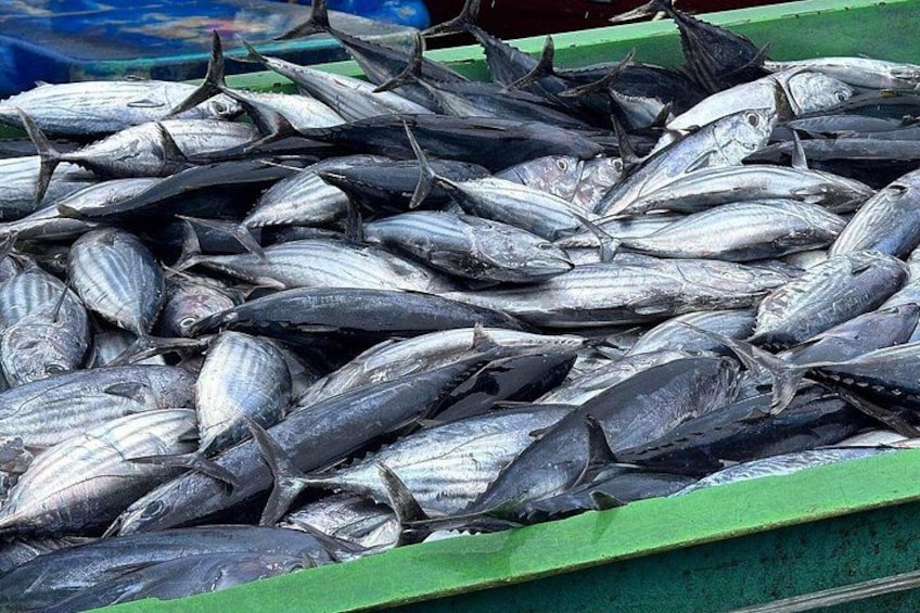Local Fresh Fish Market 4
