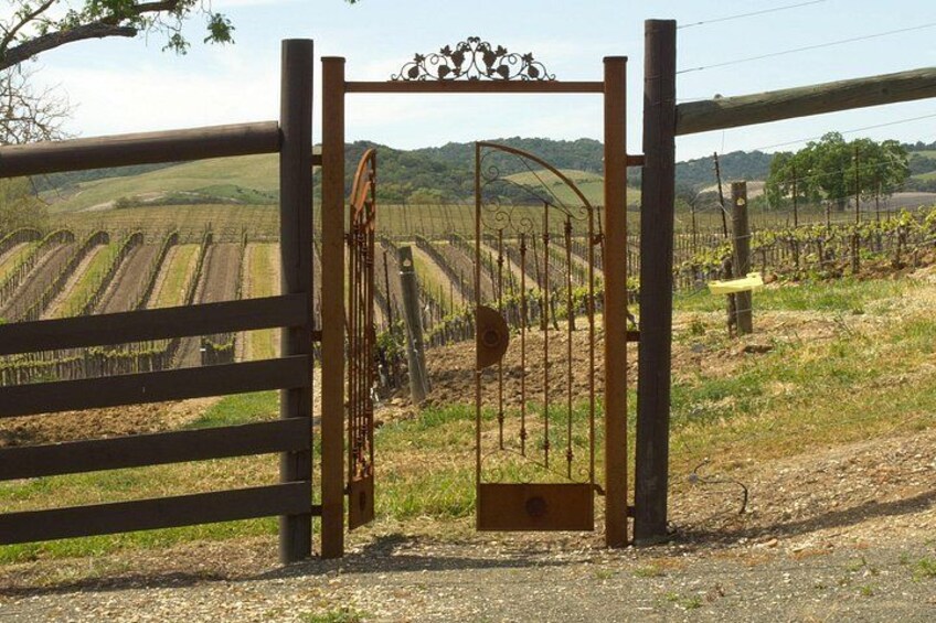 Paso Robles Wine Tour: Self-Guided GPS Audio Driving Guide 2