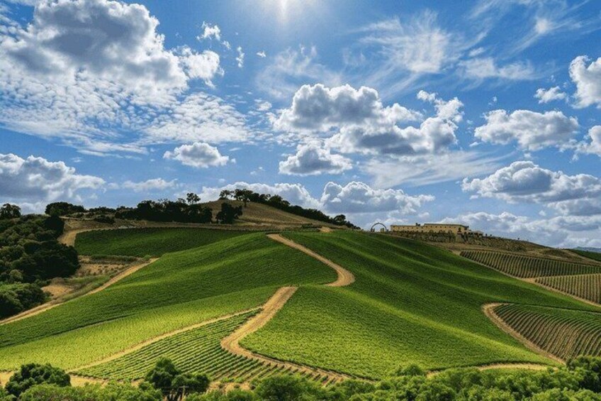 Paso Robles Self-Guided Wine Tour: GPS Audio Driving Guide 2
