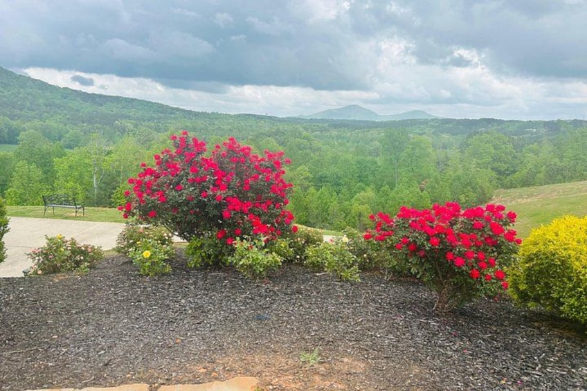 Helen N. Georgia Private Winery Tour, Dine and Shop from Atlanta 3