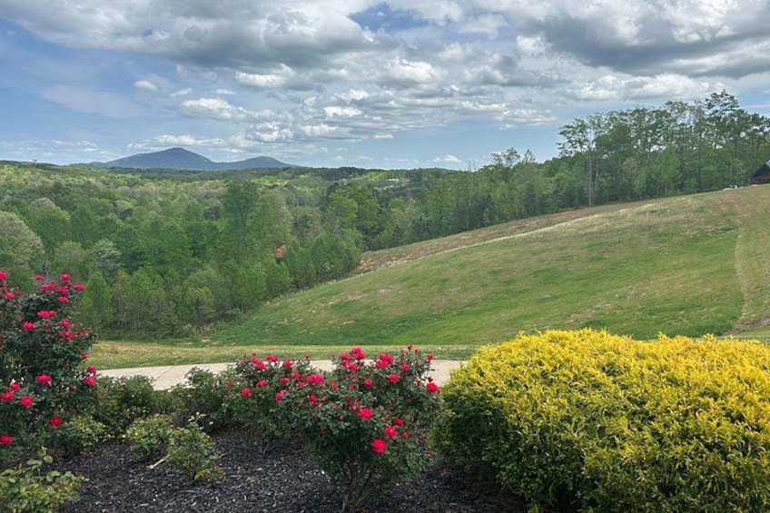 A landscape with a grassy hill, flowering bushes, and a distant mountain range under a cloudy sky. 5