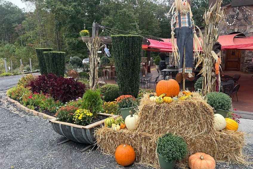 A garden with pumpkins, hay bales, and a scarecrow. 4