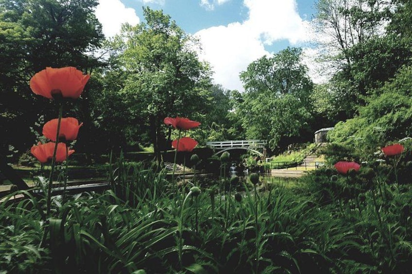 Private Tour The Montreal Garden from Kingstown 4