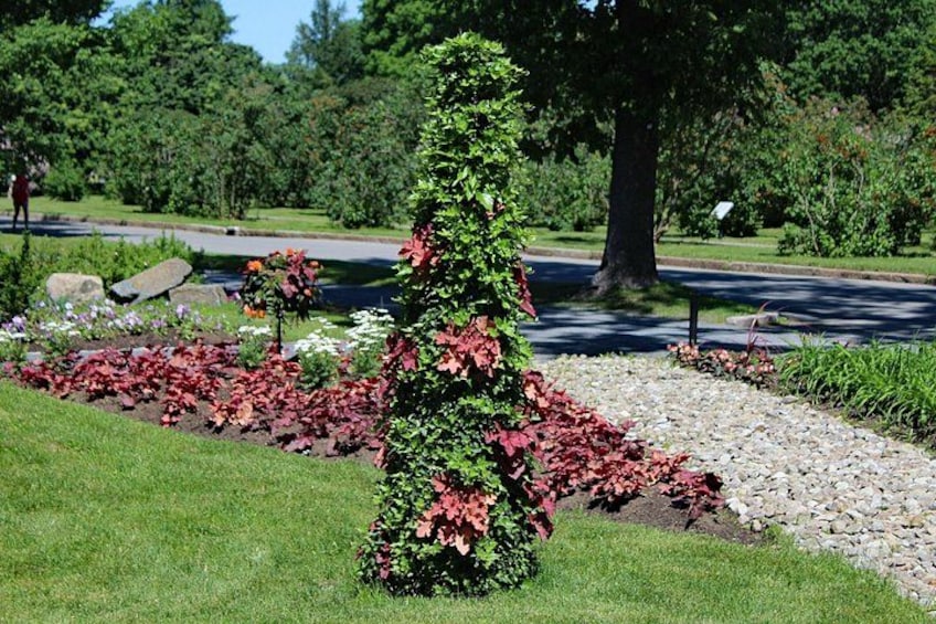 Private Tour The Montreal Garden from Kingstown 3