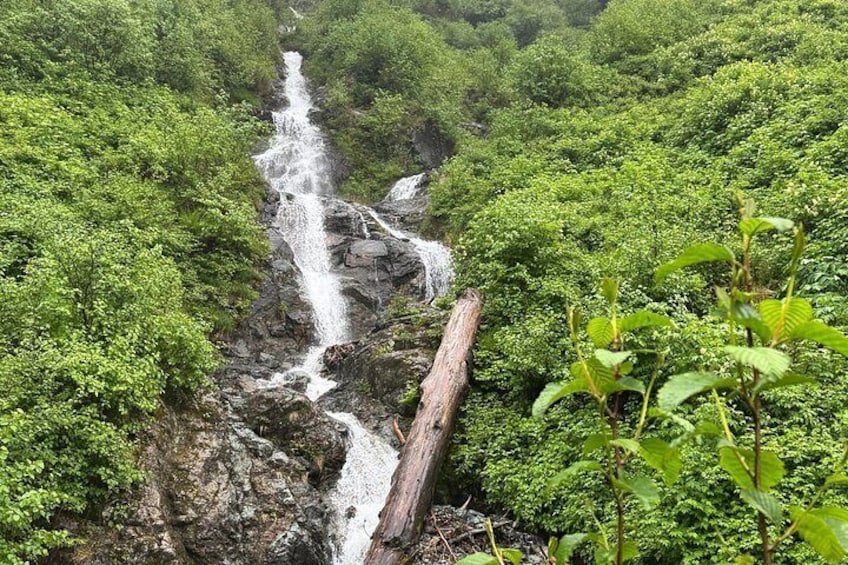 Sitka's Favorite Sites Private Land Tour up to 11 w/Meal option 2