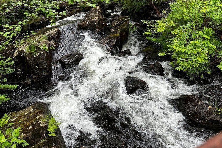 Sitka's Favorite Sites Private Land Tour up to 11 w/Meal option 5