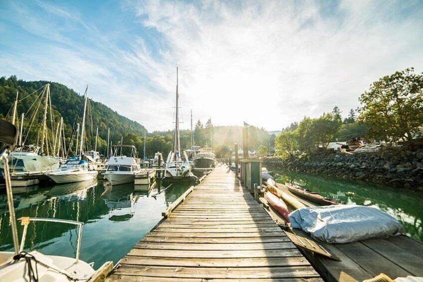 Une jetée en bois menant à une marina où sont amarrés des bateaux, le tout entouré de verdure et de collines. 3
