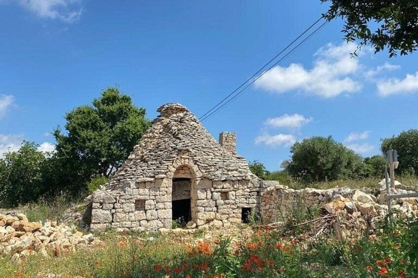 E-bike Tour to Alberobello with Visit to a Donkey Farm 2