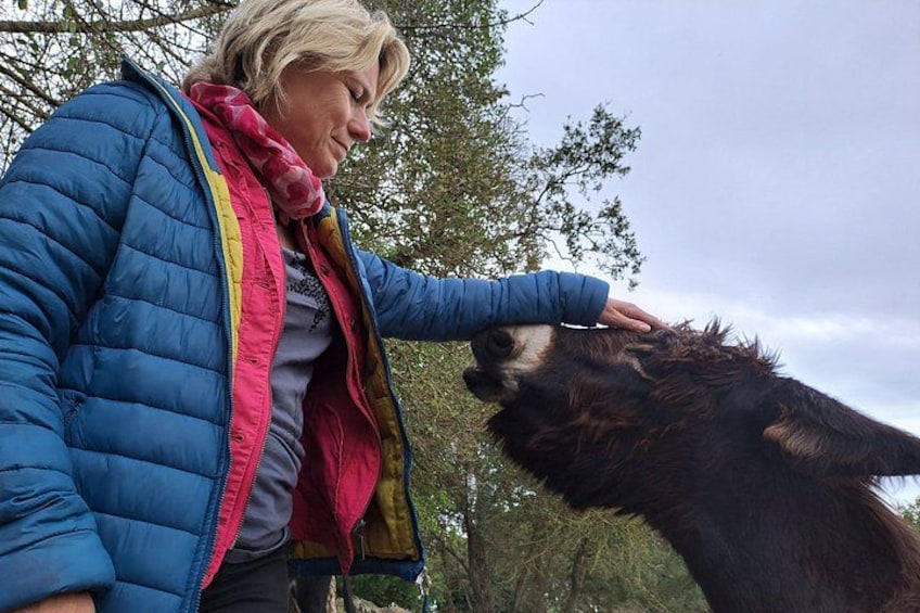 Une personne vêtue d’une veste bleue caresse un cheval. 3
