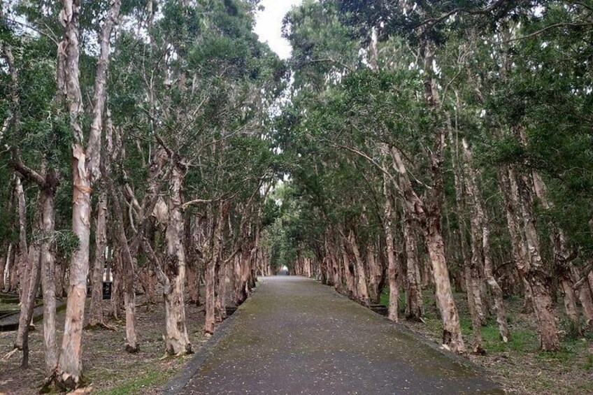 Full Day Private Tour in South of Mauritius 3