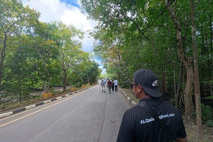 Sharing Half Day Mangrove Boat Tour With Lunch in Langkawi 2