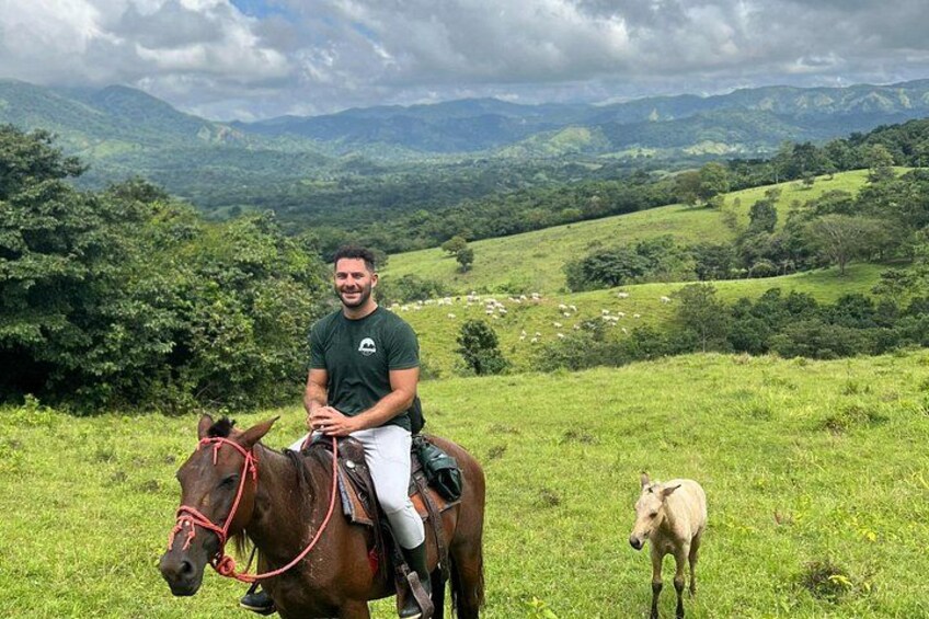 Eco-Agro Adventure 2