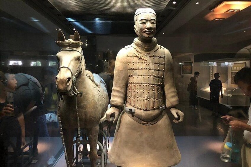A terracotta warrior statue with a horse, displayed in a museum. 3