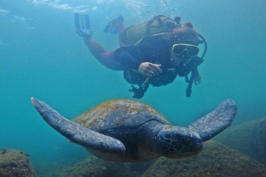 Wild life! Animals live free here! 1