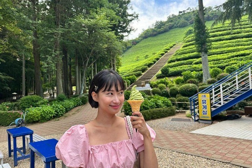 Boseong Green Tea Fields, Lake Trails & Vinegar Delights(Private) 1