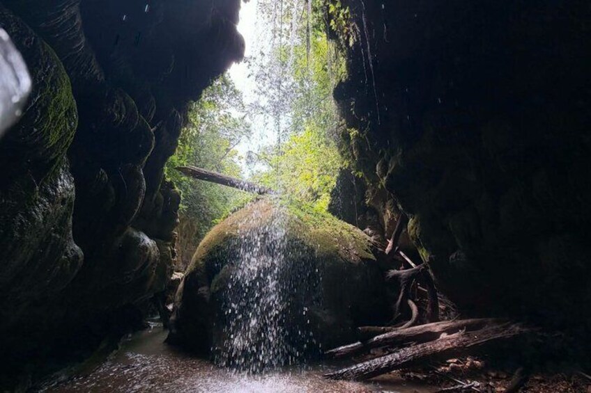 Charco Azul, Hidden Caves, Waterfalls, Beach, Free Adult Drinks 4