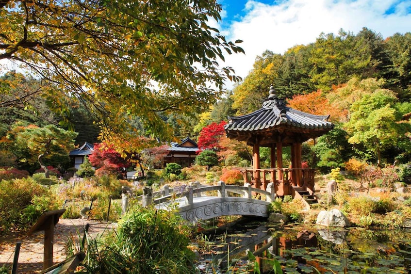 Picture 18 for Activity Seoul: Nami Island and Garden of Morning Calm opt Railbike 5